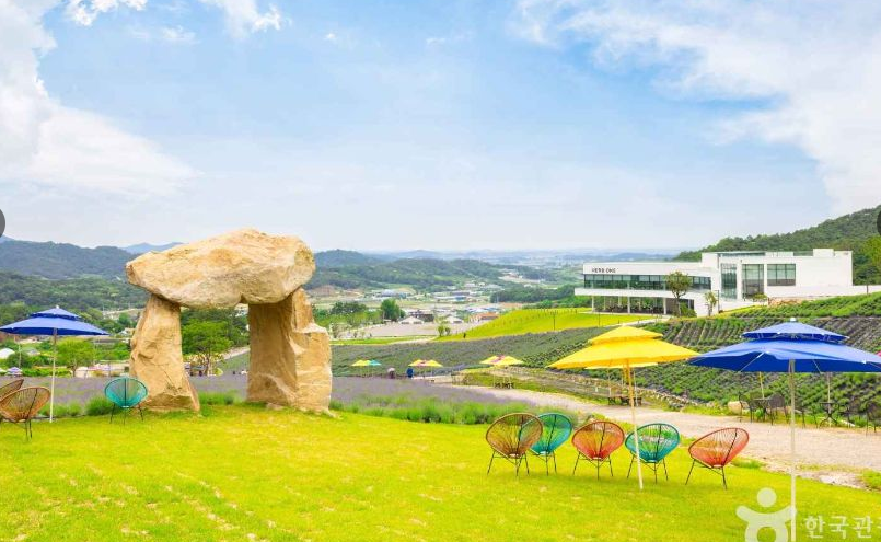 6월 국내 여행 - 정읍 허브원