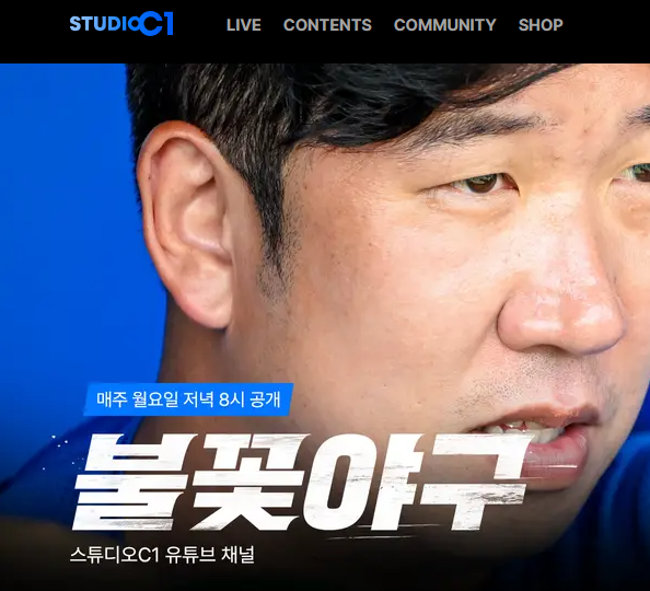 불꽃야구 생중계 일정과 시청 방법 정리